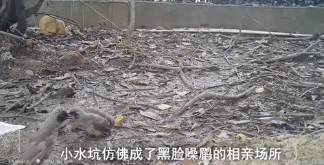 圖片關(guān)鍵詞