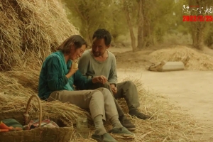 中國醫療的底層邏輯