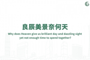 良辰美景奈何天